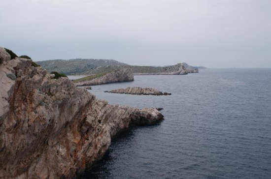 427d ACI-Marina Piskera.jpg